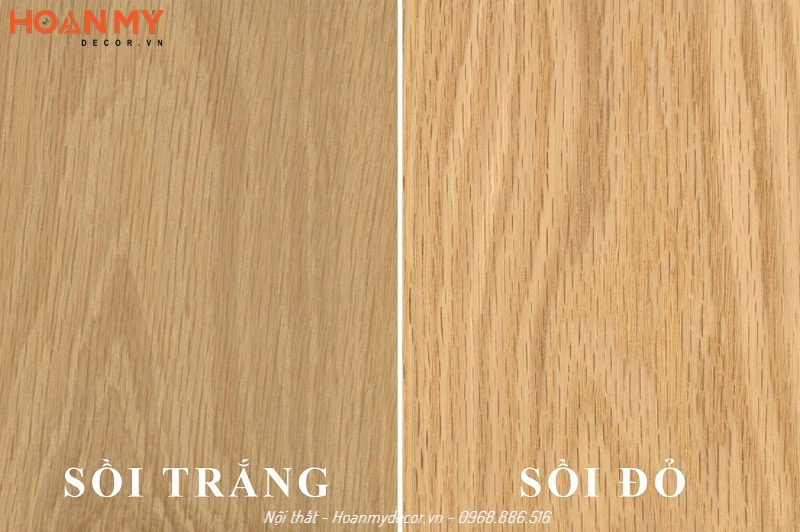 Có 2 loại gỗ Sồi phổ biến là gỗ Sồi đỏ và gỗ Sồi trắng